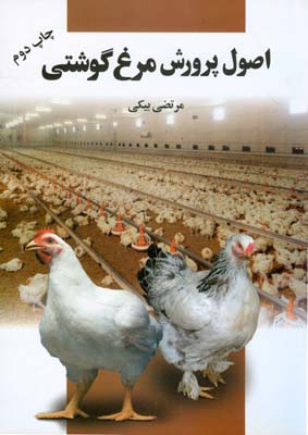 اصول پرورش مرغ گوشتی